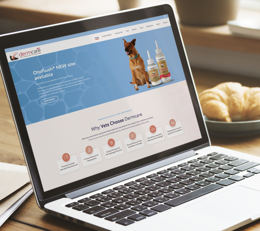 dermcare portfolio custom website design
